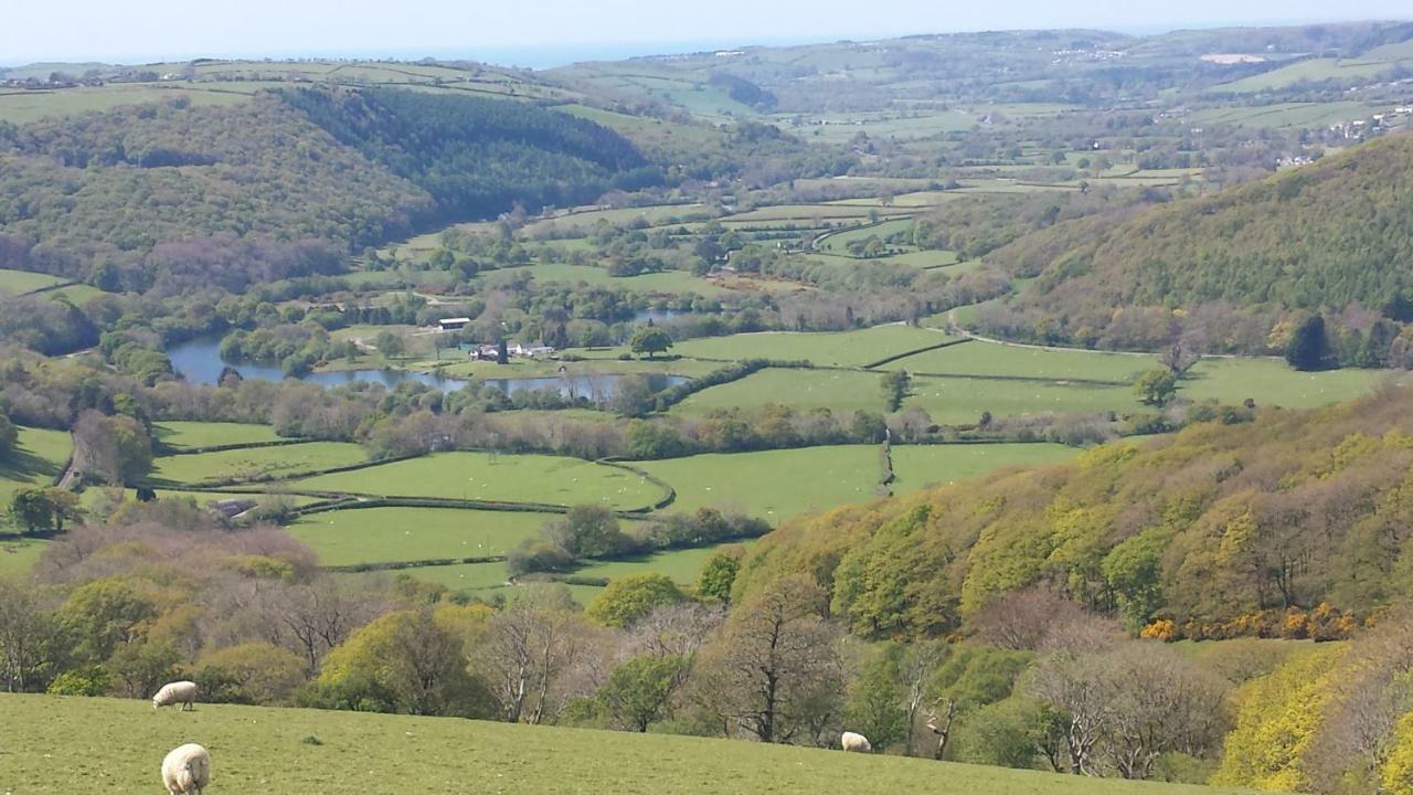 Fernlea Homestay Aberystwyth Extérieur photo