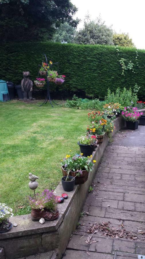 Fernlea Homestay Aberystwyth Extérieur photo